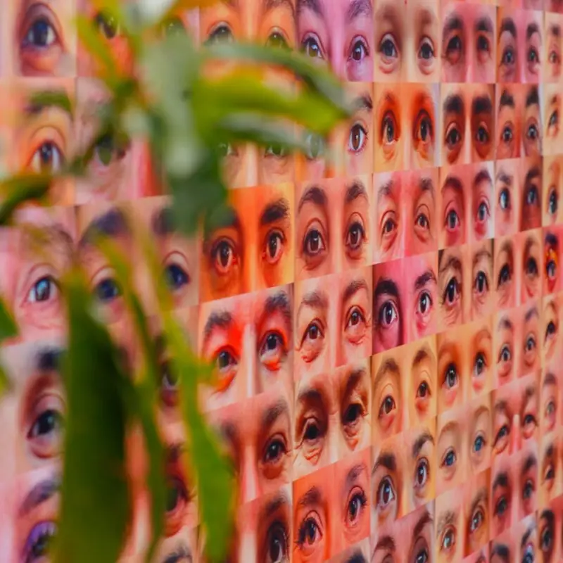 Mural Ojo Piojo: cientos de fotos de ojos en tonos rosados